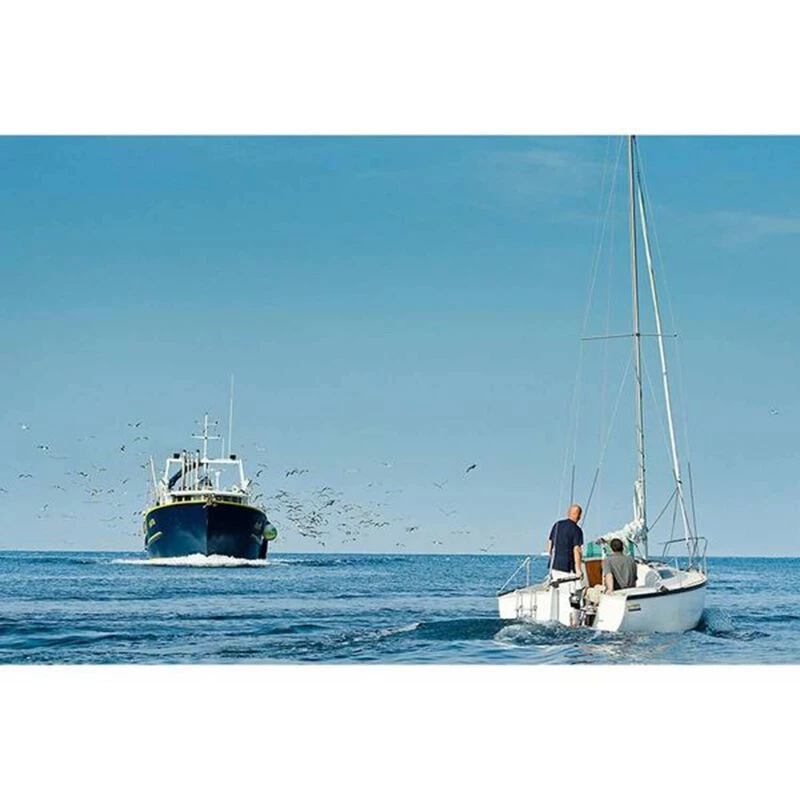 TORQEEDO Outboard Motors Cruise 2.0T Electric Outboard, Short Shaft, Tiller Steering - Image 4