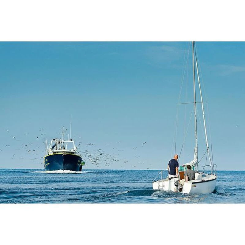 TORQEEDO Outboard Motors Cruise 2.0T Electric Outboard, Long Shaft, Tiller Steering - Image 4